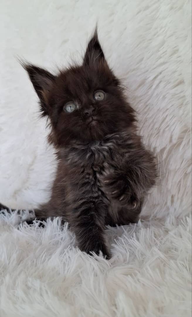 WhatsApp Image 2026-01-04 at 2.18.49 PM