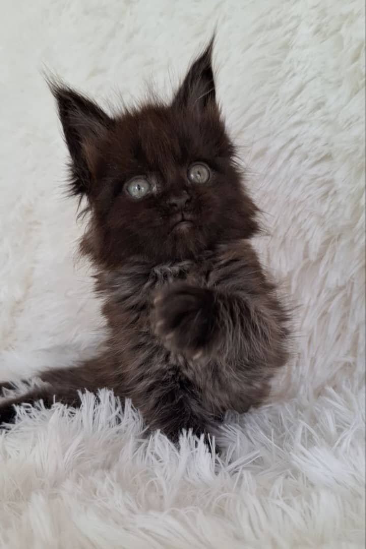 WhatsApp Image 2026-01-04 at 2.18.49 PM2