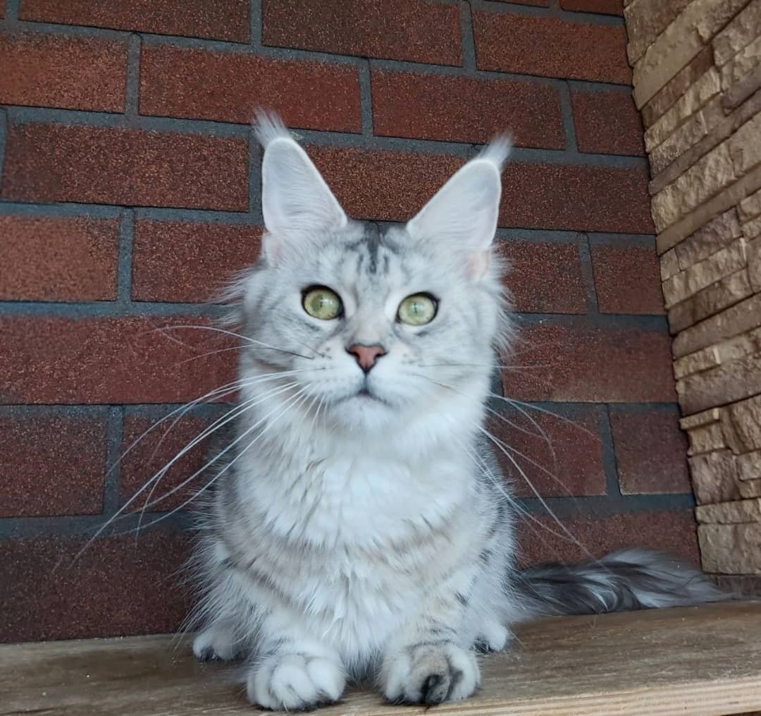 WhatsApp Image 2026-01-04 at 2.20.35 PM 3