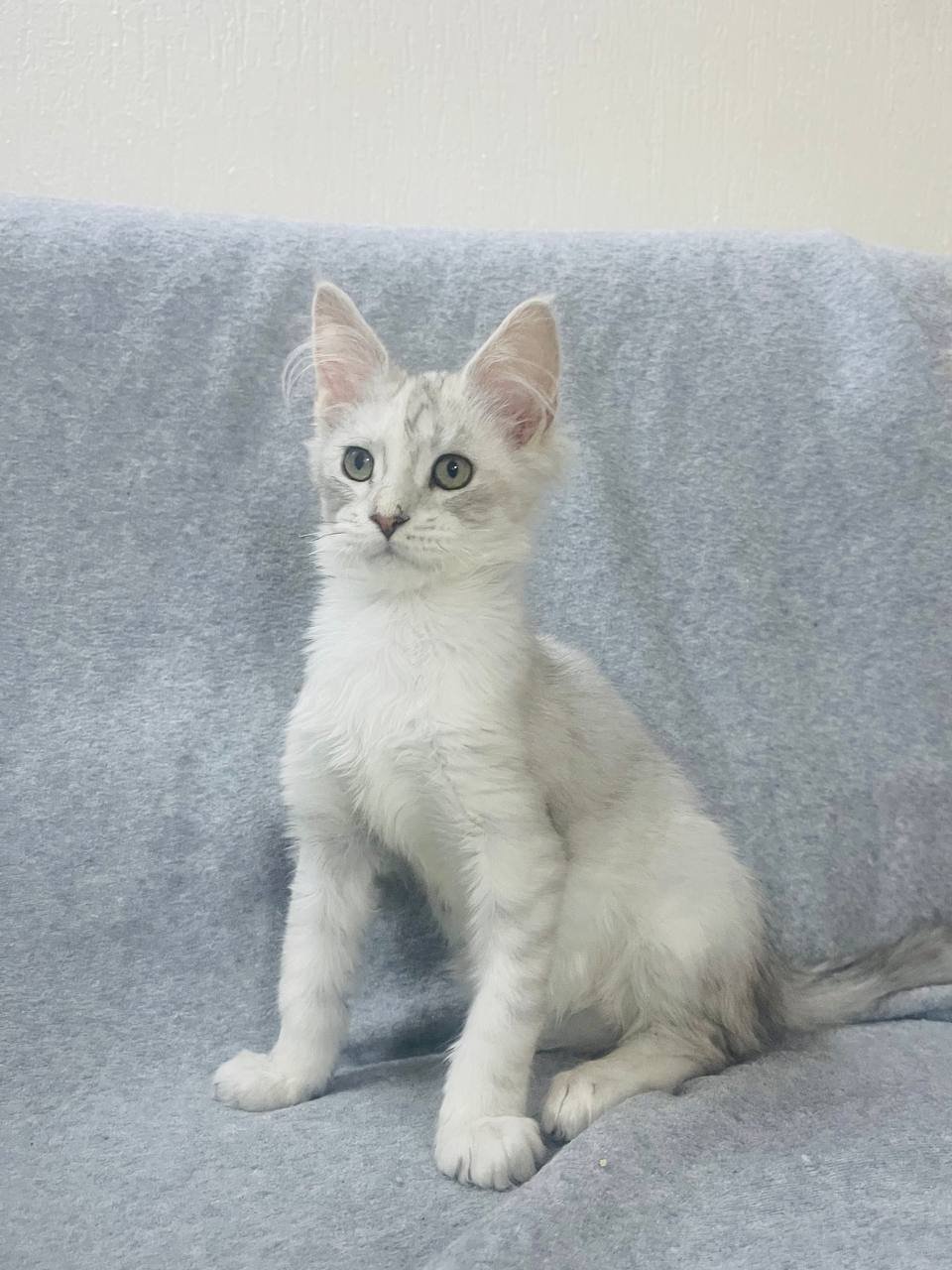 WhatsApp Image 2026-01-04 at 2.20.35 PM