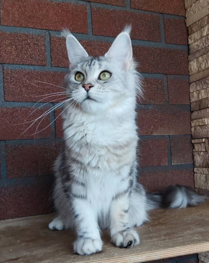 WhatsApp Image 2026-01-04 at 2.20.36 PM