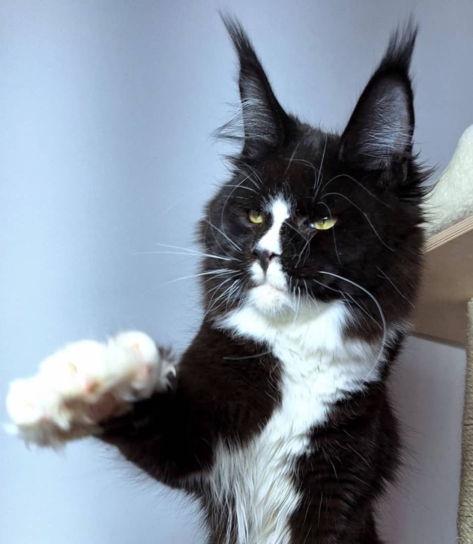 WhatsApp Image 2026-01-04 at 2.21.25 PM