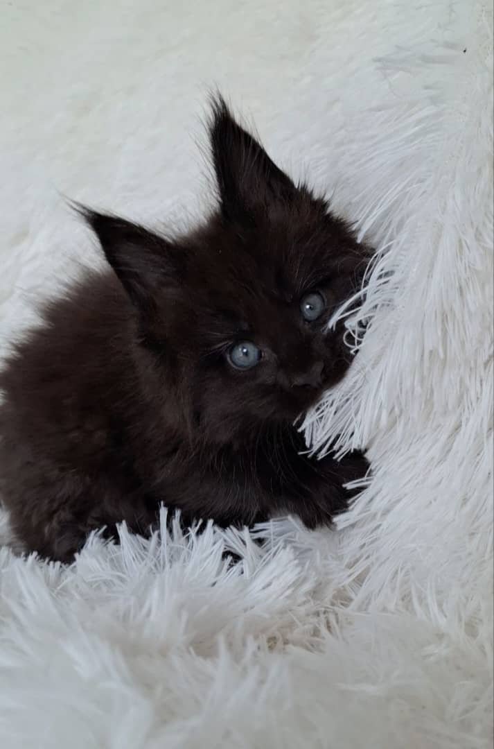 WhatsApp Image 2026-01-04 at 2.21.26 PM 2