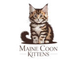 Main Coon Kittens Online