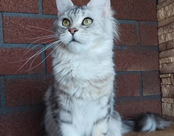 WhatsApp Image 2026-01-04 at 2.20.36 PM